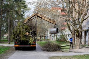 Junk Masterz | Top Benefits of Professional Yard Waste Pickup in Edmonton Junk Masterz|Top Benefits of Professional Yard Waste Pickup in Edmonton