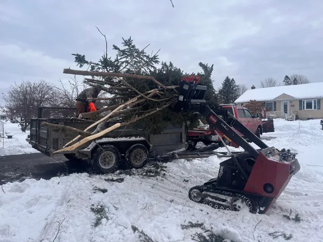 Junk Masterz | Winter Yard Cleanup in Edmonton: Removing Snow-Damaged Debris Safely Winter Yard Cleanup in Edmonton