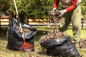 Junk Masterz | Our Blog yard waste