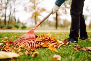 yard waste